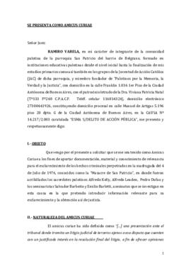 
Amicus Curiae - Presentación
