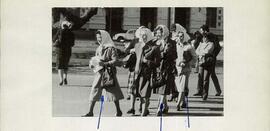 Colección Madres de Plaza de Mayo